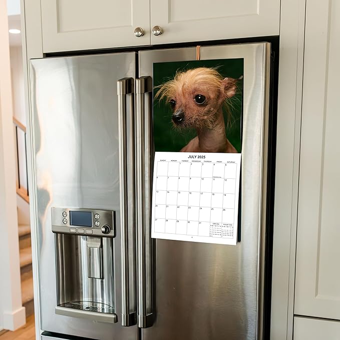 2025 Ugly Dogs Monthly Wall Calendar | Hilarious Gag Gift for Dog Lovers | Funny Dogs White Elephant Gift Calendar