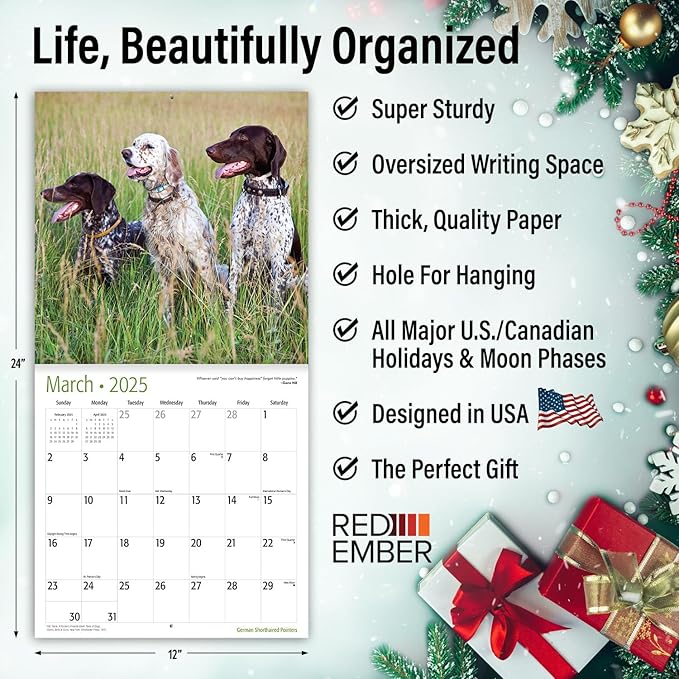 RED EMBER German Shorthaired Pointers 2025 Wall Calendar 12 Month | 12" x 24" Open | Thick & Sturdy Paper | Giftable | Calendar 2025