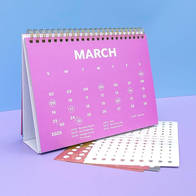 PAPERAGE 2025 Small Desk Calendar, (Rainbow), 8" x 6", 12 Month (January – December), Small Standing Desk & Flip Calendar, Colorful Monthly Calendar for Home, School or Office, Made with Premium Paper