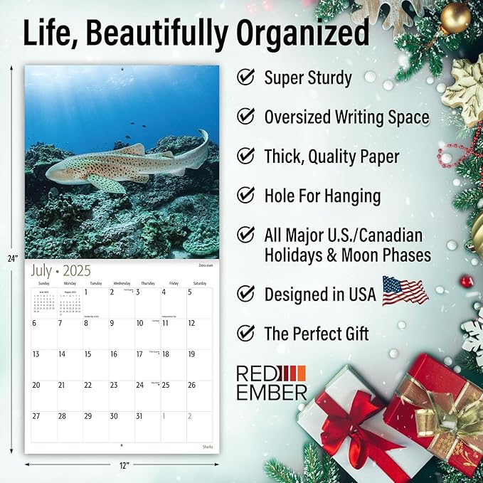 RED EMBER Sharks 2025 Wall Calendar 12 Month | 12" x 24" Open | Thick & Sturdy Paper | Giftable | Calendar 2025