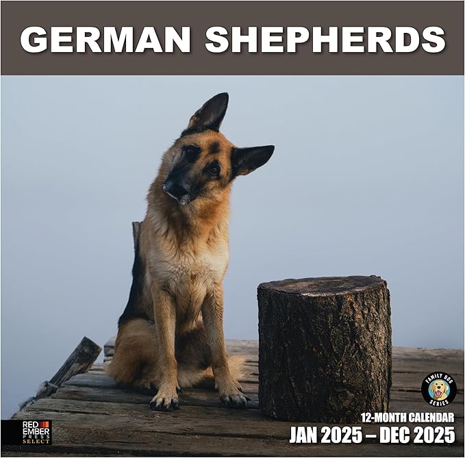 RED EMBER Select - German Shepherds 2025 Wall Calendar 12 Month | 12" x 24" Open | Thick & Sturdy Paper | Giftable | Calendar 2025