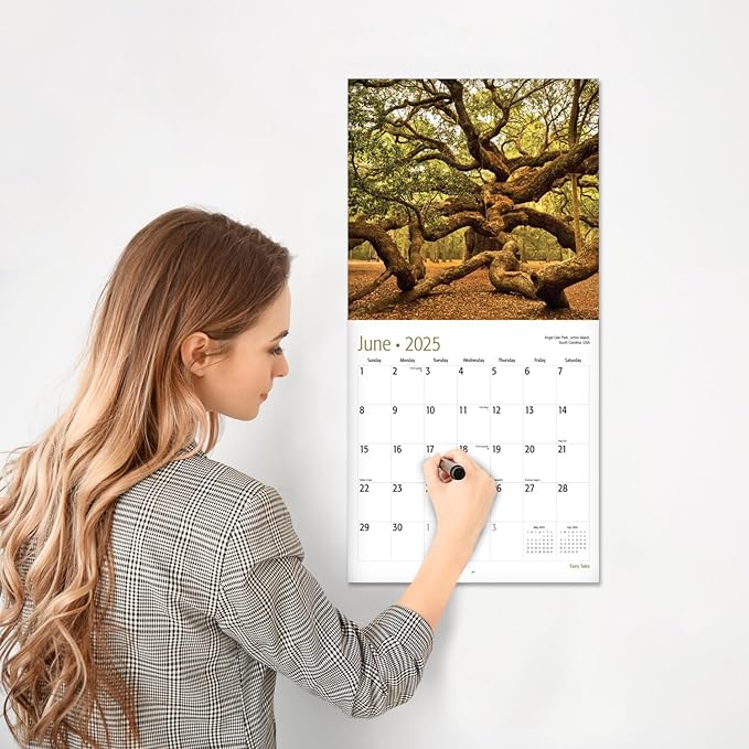 RED EMBER Fairy Tales 2025 Wall Calendar 12 Month | 12" x 24" Open | Thick & Sturdy Paper | Giftable | Calendar 2025