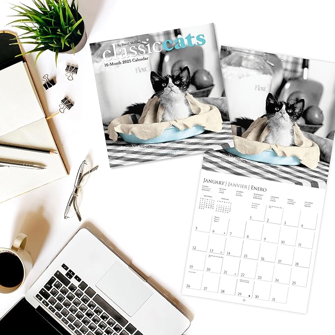 Graphique 2025 Classic Cats Wall Calendar | 12” x 12” | Thick Paper | Home & Office Organizer | Large Monthly Grid | 3 Languages & Marked Holidays | 4 Month Preview Page for 2026
