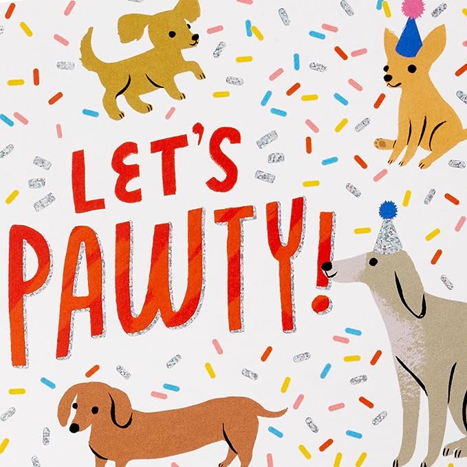 Hallmark Assorted Birthday Cards with Envelopes (20 Card Refill Pack for Organizer Box)