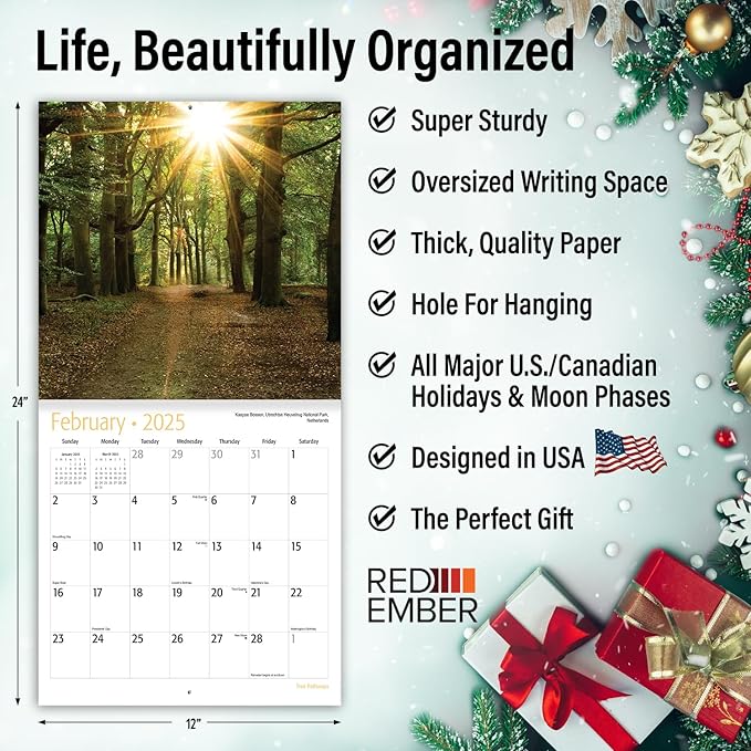 RED EMBER Tree Pathways 2025 Wall Calendar 12 Month | 12" x 24" Open | Thick & Sturdy Paper | Giftable | Calendar 2025