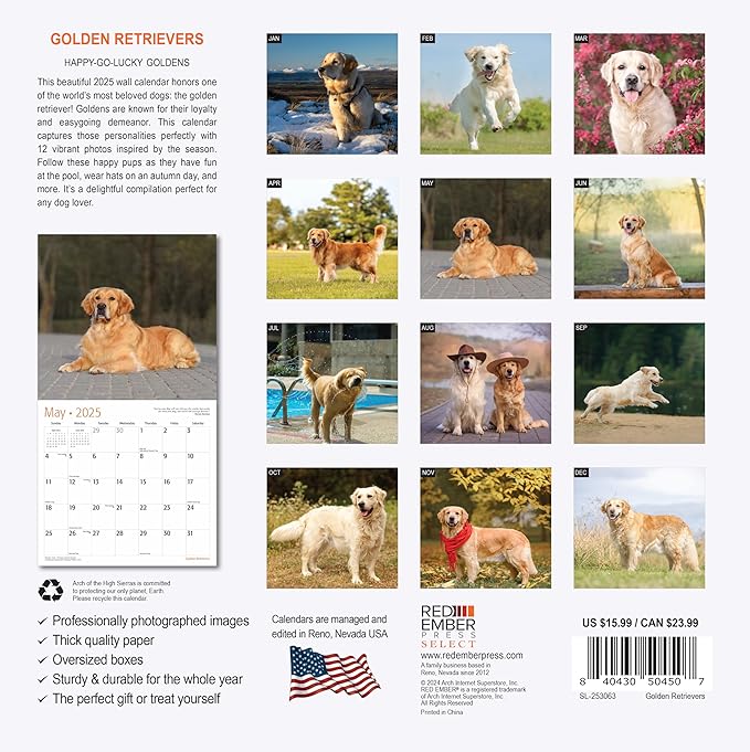 RED EMBER Select - Golden Retrievers 2025 Wall Calendar 12 Month | 12" x 24" Open | Thick & Sturdy Paper | Giftable | Calendar 2025