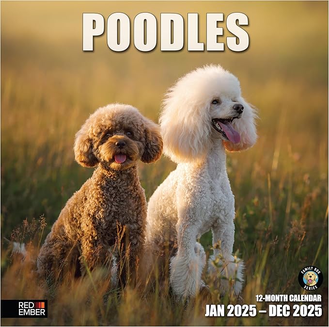 RED EMBER Poodles 2025 Wall Calendar 12 Month | 12" x 24" Open | Thick & Sturdy Paper | Giftable | Calendar 2025