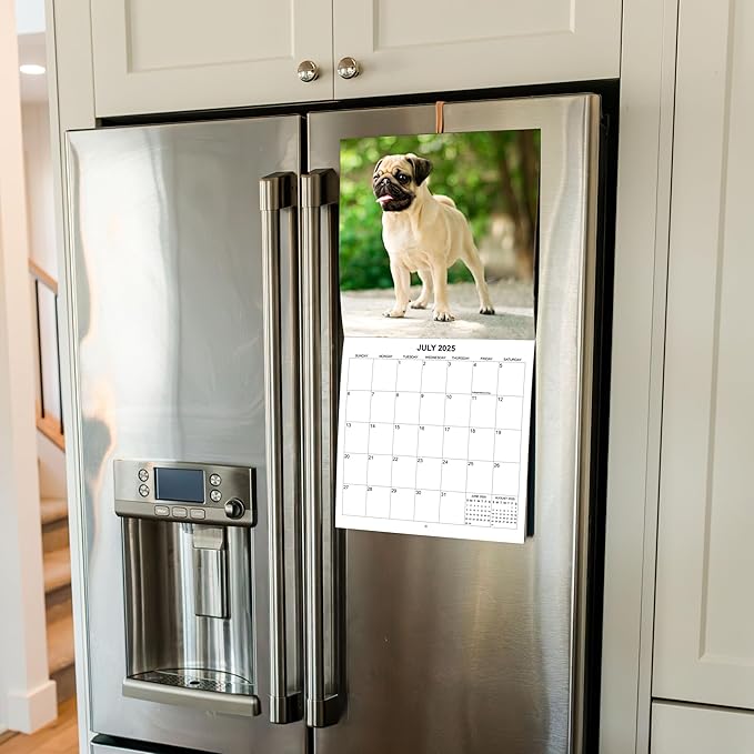 2025 Pugs Monthly Wall Calendar | 12" x 24" | Thick Sturdy Paper | Dog Calendar 2024-2025 (Pugs)