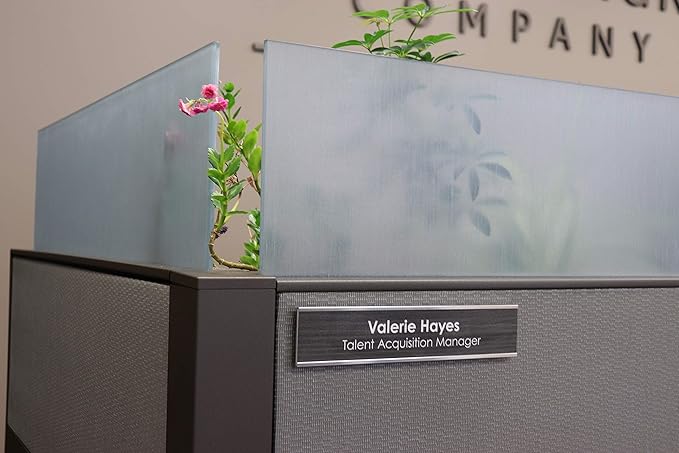 Partition Pins | Cubicle Pins | Office Cubicle Decor Pins - Value Pack of 50 Fabric Pins for Furniture, Office Signs, and Fabric Mounting - Made in The USA