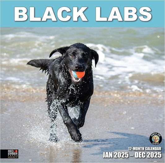 RED EMBER Select - Black Labs 2025 Wall Calendar 12 Month | 12" x 24" Open | Thick & Sturdy Paper | Giftable | Calendar 2025