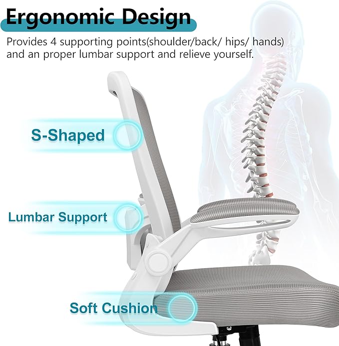 FelixKing Ergonomic Office Chair, Adjustable Height, Breathable Mesh Fabric, Lumbar Support, Gray