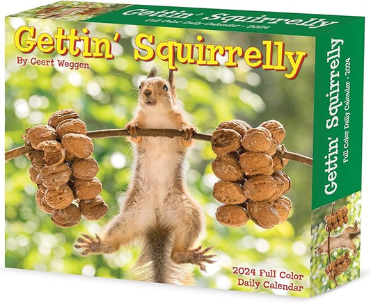 Willow Creek Press Gettin' Squirrelly Daily 2024 Box/Desk Calendar (5.86" x 4.72")