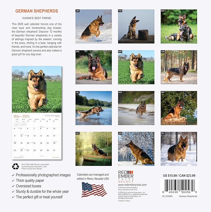 RED EMBER Select - German Shepherds 2025 Wall Calendar 12 Month | 12" x 24" Open | Thick & Sturdy Paper | Giftable | Calendar 2025