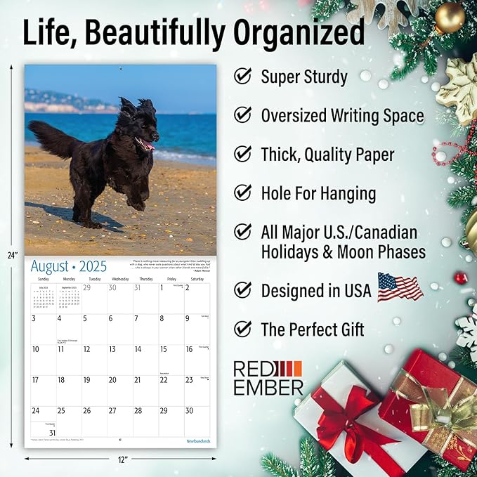 RED EMBER Newfoundlands 2025 Wall Calendar 12 Month | 12" x 24" Open | Thick & Sturdy Paper | Giftable | Calendar 2025