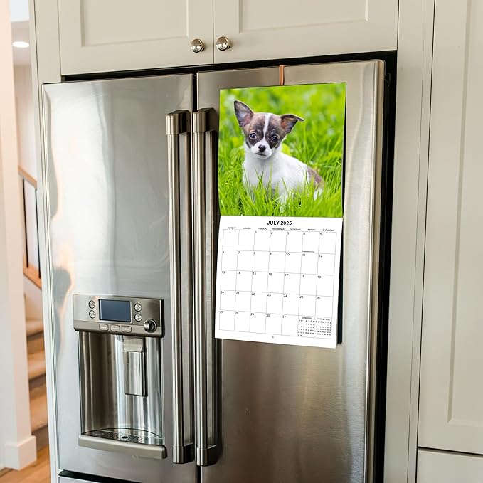 2025 Chihuahua Monthly Wall Calendar | 12" x 24" | 2024-2025 Chihuaha Dog Calendar