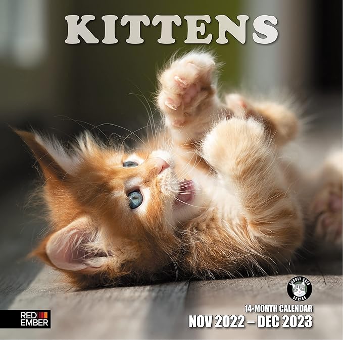 RED EMBER Kittens! 2023 Hangable Monthly Wall Calendar | 12" x 24" Open | Thick & Sturdy Paper | Giftable | Kids Cute Kitten Cat | Cuteness Overload