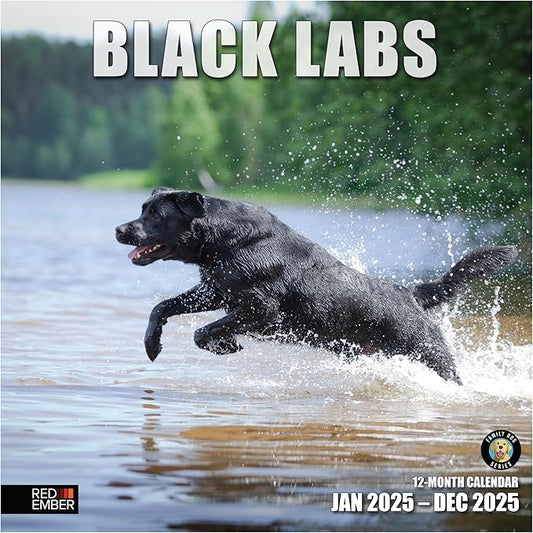 RED EMBER Black Labs 2025 Wall Calendar 12 Month | 12" x 24" Open | Thick & Sturdy Paper | Giftable | Calendar 2025