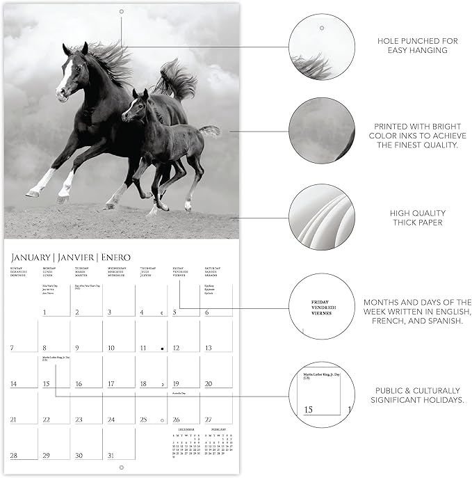 Graphique 2024 Horses Wall Calendar | 12” x 12” | Thick Paper | Home & Office Organizer | Large Monthly Grid | 3 Languages & Marked Holidays | 4 Month Preview Page for 2025