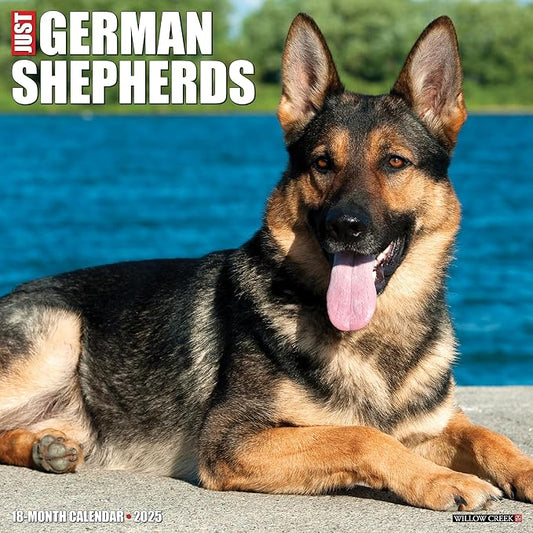 Willow Creek Press German Shepherds Monthly 2025 Wall Calendar (12" x 12")