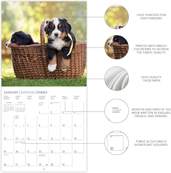 Graphique 2025 Puppy Love Wall Calendar | 12” x 12” | Thick Paper | Home & Office Organizer | Large Monthly Grid | 3 Languages & Marked Holidays | 4 Month Preview Page for 2026