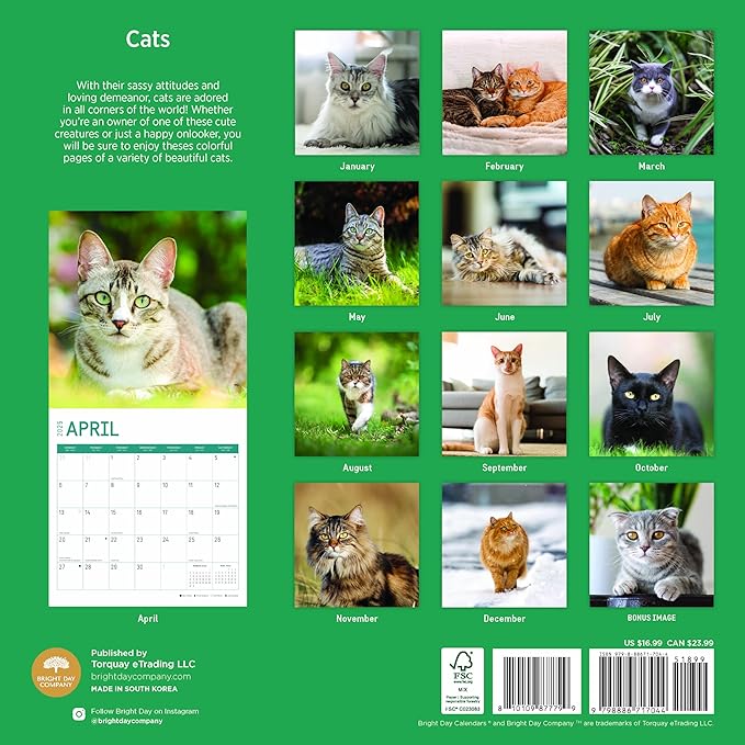 2025 Cats Monthly Wall Calendar by Bright Day, Includes Over 300 Stickers, 12 x 12 Inch