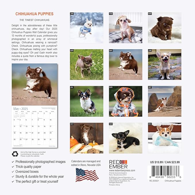 RED EMBER Chihuahua Puppies 2025 Wall Calendar 12 Month | 12" x 24" Open | Thick & Sturdy Paper | Giftable | Calendar 2025