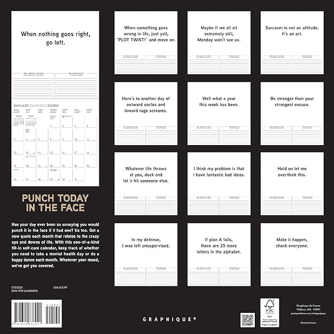 Graphique 2025 Punch Today in the Face Wall Calendar | 12” x 12” | Thick Paper | Home & Office Organizer | Large Monthly Grid | 3 Languages & Marked Holidays | 4 Month Preview Page for 2026