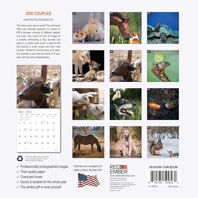 RED EMBER Odd Couples 2025 Wall Calendar 12 Month | 12" x 24" Open | Thick & Sturdy Paper | Giftable | Calendar 2025