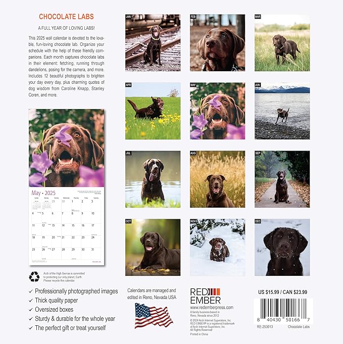 RED EMBER Chocolate Labs 2025 Wall Calendar 12 Month | 12" x 24" Open | Thick & Sturdy Paper | Giftable | Calendar 2025