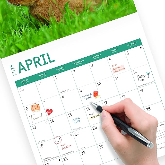 2025 Baby Animals Monthly Wall Calendar by Bright Day, Includes Over 300 Stickers, 12 x 12 Inch