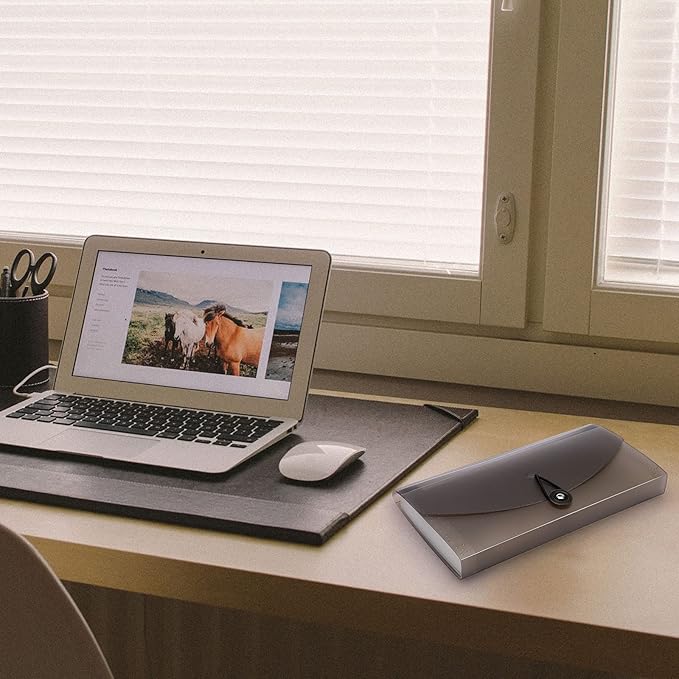 BTSKY Expanding File Folder –New 13 Pockets Small Accordion File Folder Expandable Card Ticket Holder File Storage Folder Check Bill File Folder Plastic Wallet Case (Coffee Translucent)