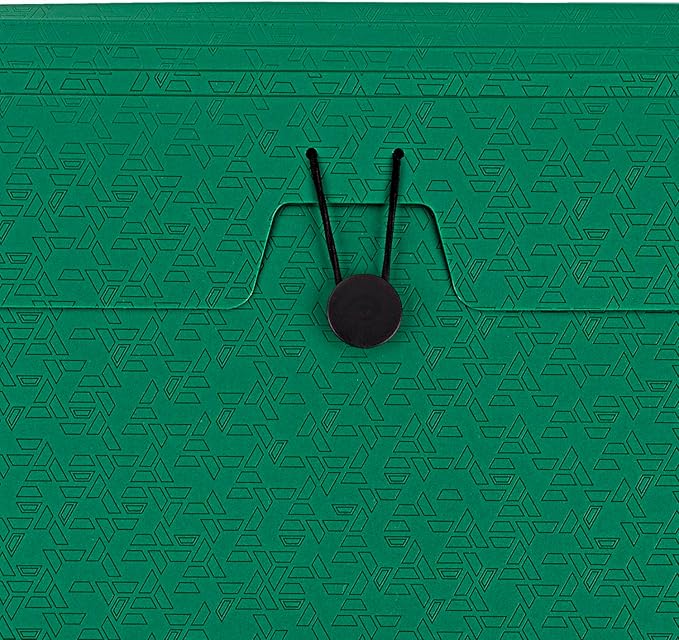 Five Star Expanding File Organizer, 6-Pocket Accordian File Organizer, Bungee Closure, Holds 11" x 8-1/2", Forest Green (350100D-ECM)