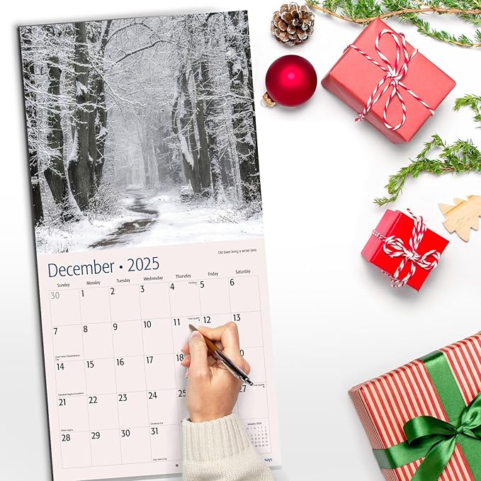 RED EMBER Tree Pathways 2025 Wall Calendar 12 Month | 12" x 24" Open | Thick & Sturdy Paper | Giftable | Calendar 2025