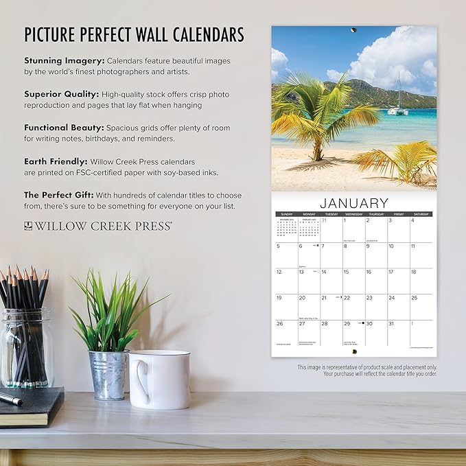 Willow Creek Press Vizslas Monthly 2025 Wall Calendar (12" x 12")