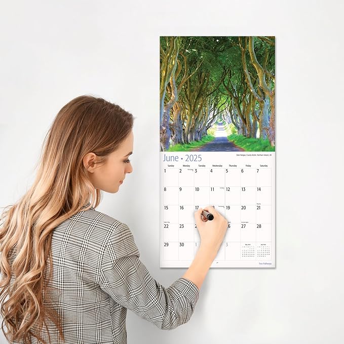 RED EMBER Tree Pathways 2025 Wall Calendar 12 Month | 12" x 24" Open | Thick & Sturdy Paper | Giftable | Calendar 2025