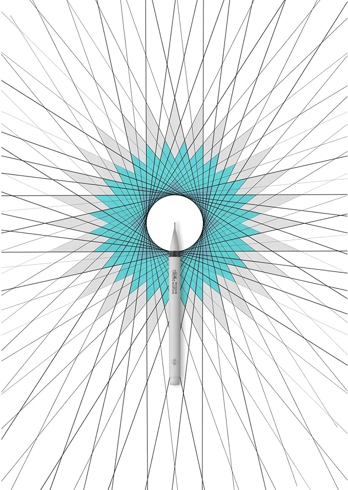 Winsor & Newton Fineliner Fine Point Pen Set, 0.3 mm Tip, Set of 5, Black