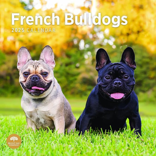 2025 French Bulldogs Monthly Wall Calendar by Bright Day, 12 x 12 Inch Cute Dog Breed Gift