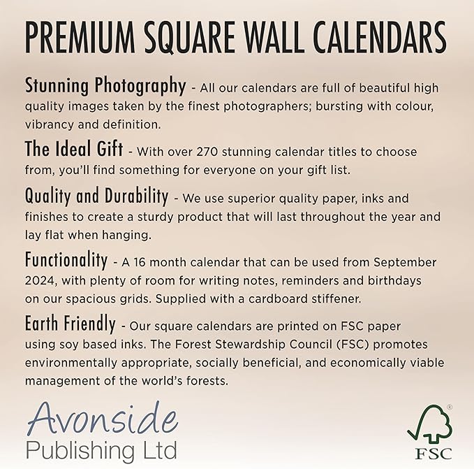 2025 Ferrets Wall Calendar, 12X12, Avonside Publishing