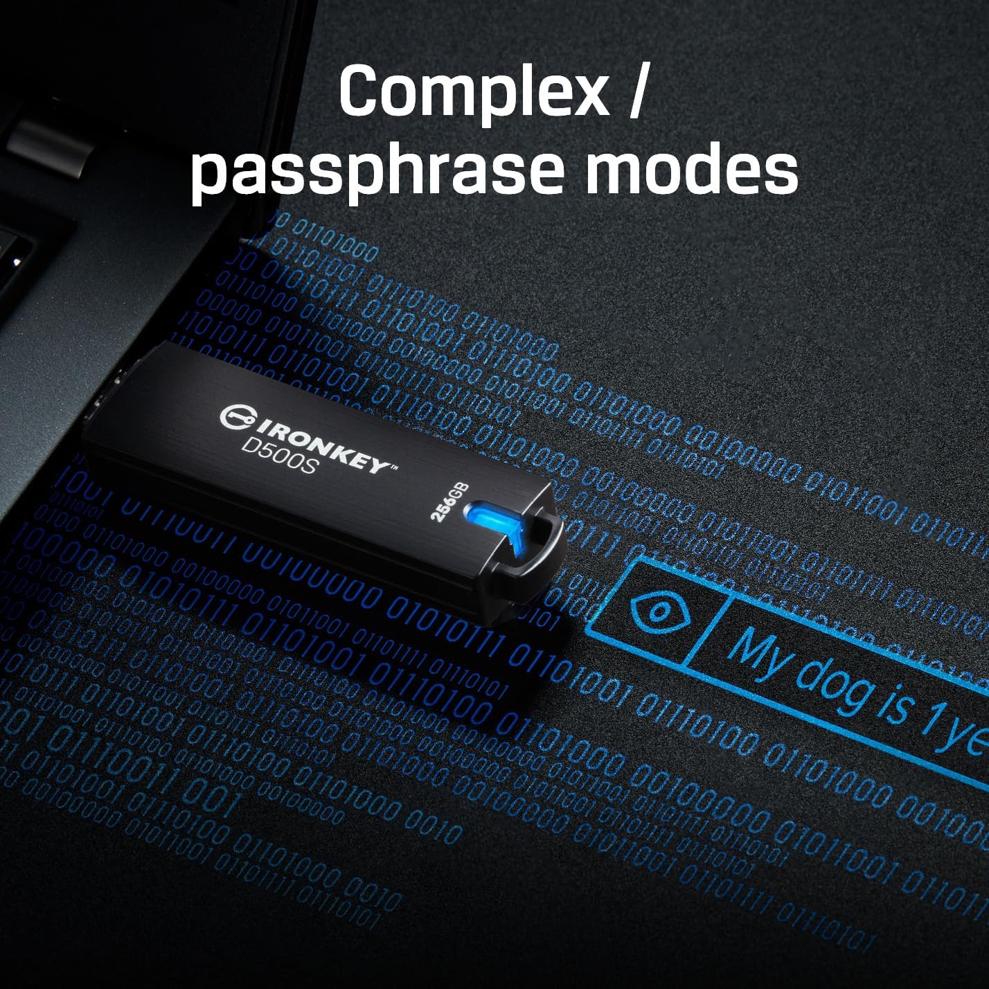 Kingston Ironkey D500S 512GB Encrypted Flash Drive | Dual Hidden Partition | FIPS 140-3 Level 3 | XTS-AES 256-bit | BadUSB and Brute Force Protection | Multi-Pin Option | IKD500S/512GB