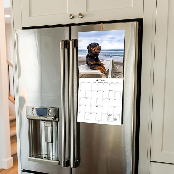 2025 Rottweilers Monthly Wall Calendar | 12" x 24" | Thick Sturdy Paper | Dog Calendar 2024-2025