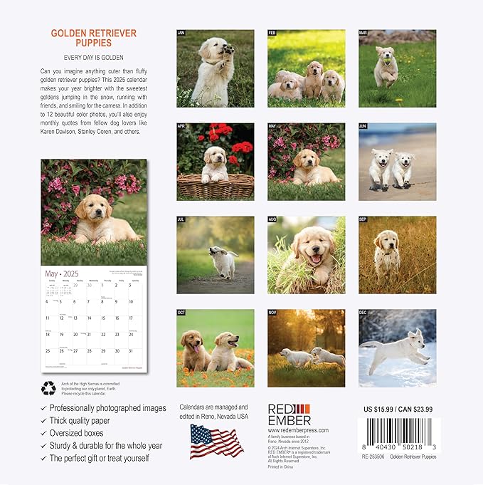 RED EMBER Golden Retriever Puppies 2025 Wall Calendar 12 Month | 12" x 24" Open | Thick & Sturdy Paper | Giftable | Calendar 2025