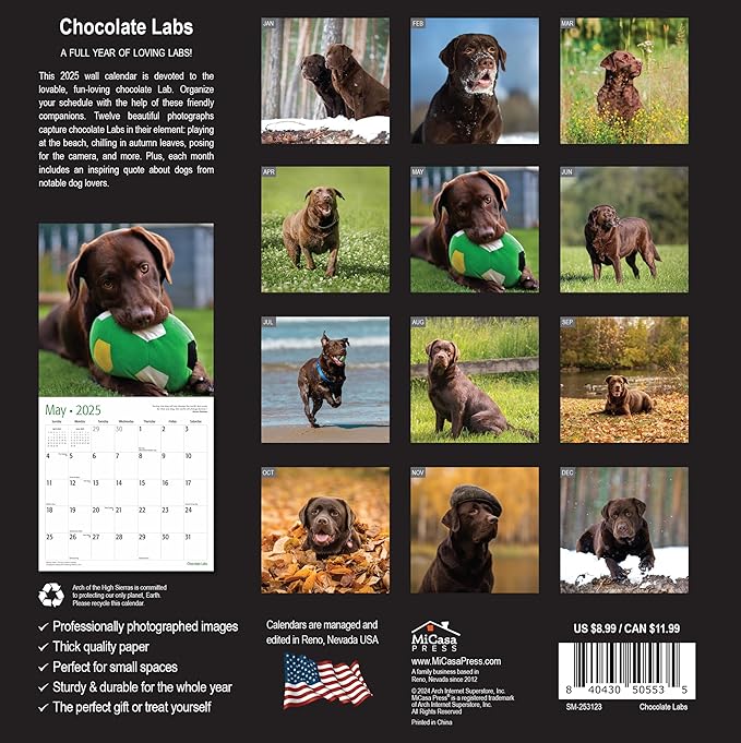 MICASA Chocolate Labs Mini 2025 Wall Calendar 12 Month | 7" x 14" Open | Thick & Sturdy Paper | Giftable | Calendar 2025