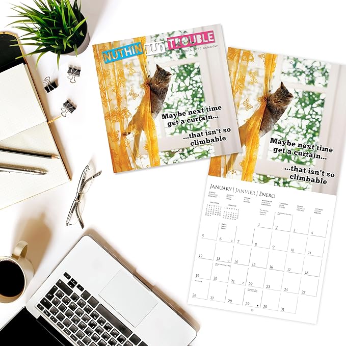 Graphique 2025 Nuthin' But Trouble Wall Calendar | 12” x 12” | Thick Paper | Home & Office Organizer | Large Monthly Grid | 3 Languages & Marked Holidays | 4 Month Preview Page for 2026