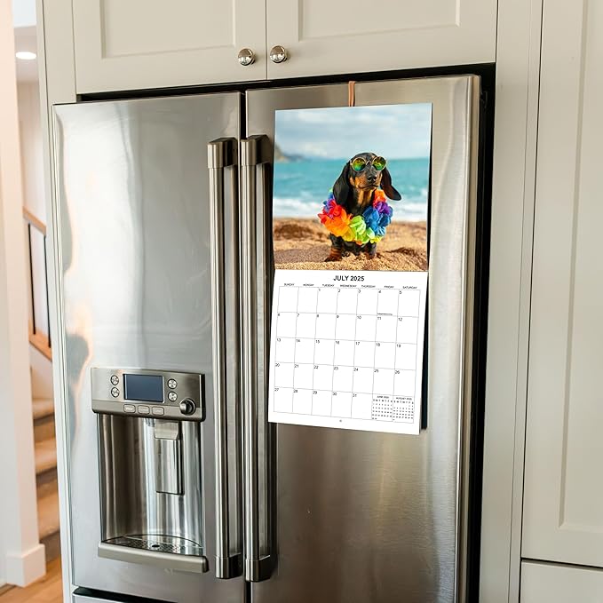 2025 Dachshund Weiner Dogs Monthly Wall Calendar | 12" x 24" | Thick Sturdy Paper | 2025 Wiener Dog Calendar