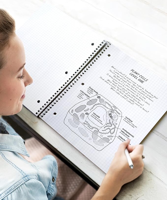 Dunwell Graph Paper Notebook 8.5 x 11 (3-Pack Red Blue Black) Plastic Cover, 100 Sheets (200 Pages), Perforated 3-Hole Punched, 4x4 Squares, Spiral Notebook, 1/4" Grid, Divider with Pockets