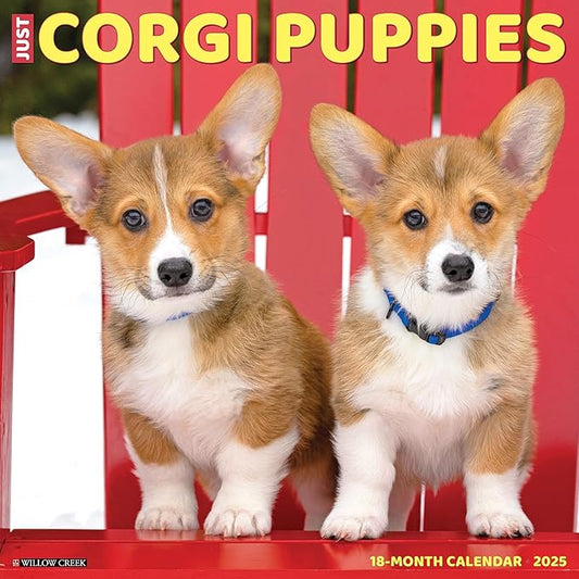 Willow Creek Press Corgi Puppies Monthly 2025 Wall Calendar (12" x 12")