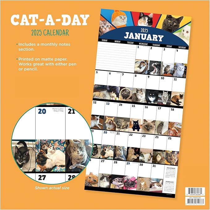TF PUBLISHING 2025 Cat-A-Day Wall Calendar Case of 48 - Large Grids for Appointments and Scheduling - Vertical Monthly Wall Calendar 2025 - Home and Office Organization - Premium Gloss Paper - 12"x12”