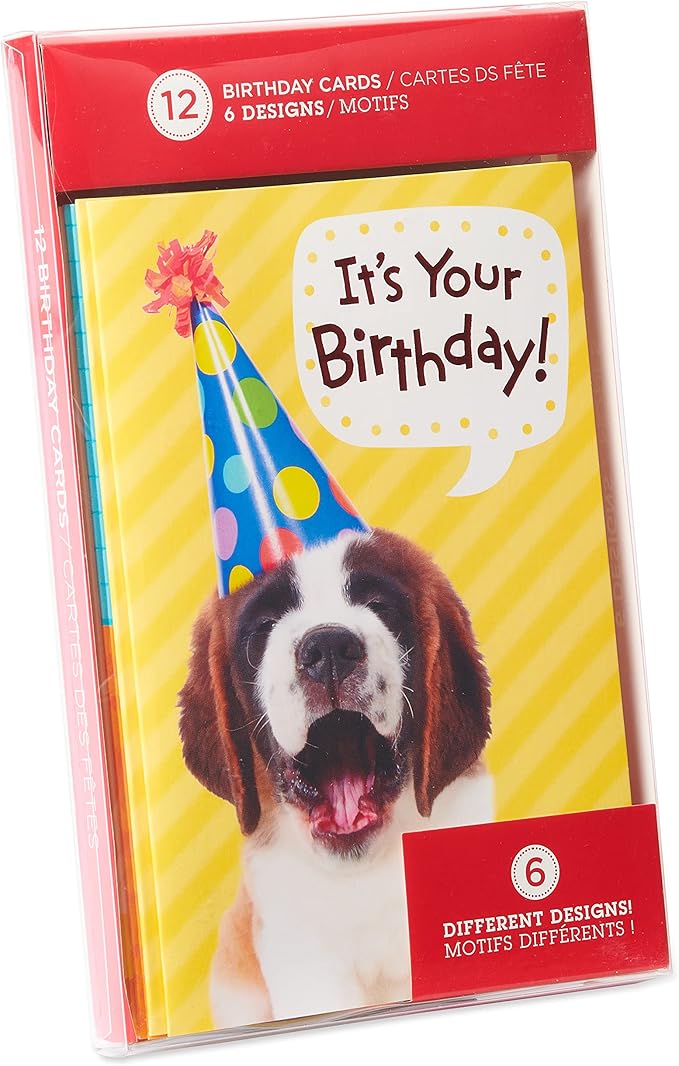 American Greetings Kids Birthday Cards Bundle (12-Count)