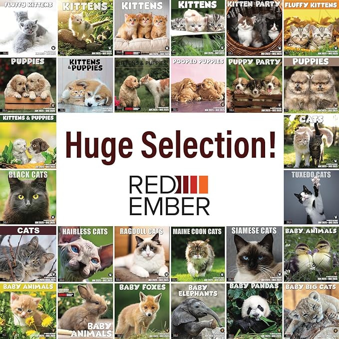 RED EMBER Select - Kittens & Puppies 2025 Wall Calendar 12 Month | 12" x 24" Open | Thick & Sturdy Paper | Giftable | Calendar 2025