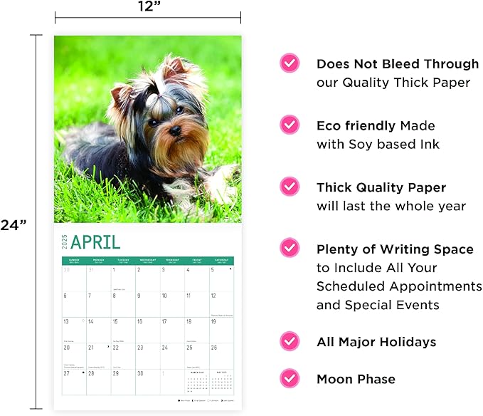 2025 Yorkshire Terriers Monthly Wall Calendar by Bright Day, Includes Over 300 Stickers, 12 x 12 Inch